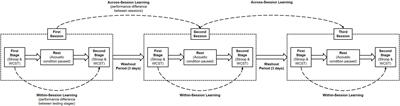 Dissociable effects of music and white noise on conflict-induced behavioral adjustments